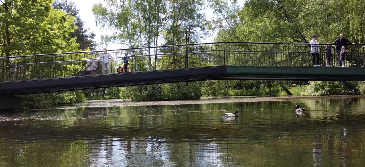 Zdjęcie do postu: Park im. Jacka Kuronia w Sosnowcu