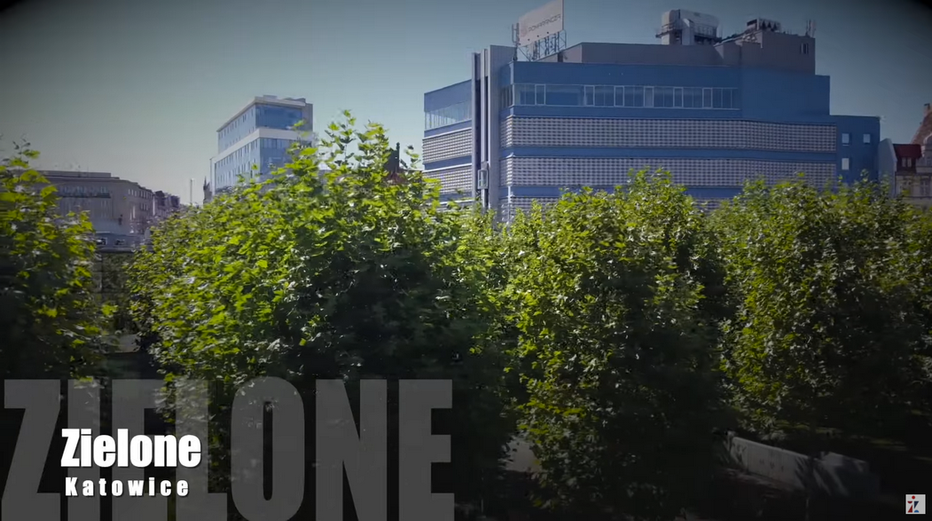 Zdjęcie do postu: Zaskakujące, ale to jedno z najbardziej zielonych miast w Polsce
