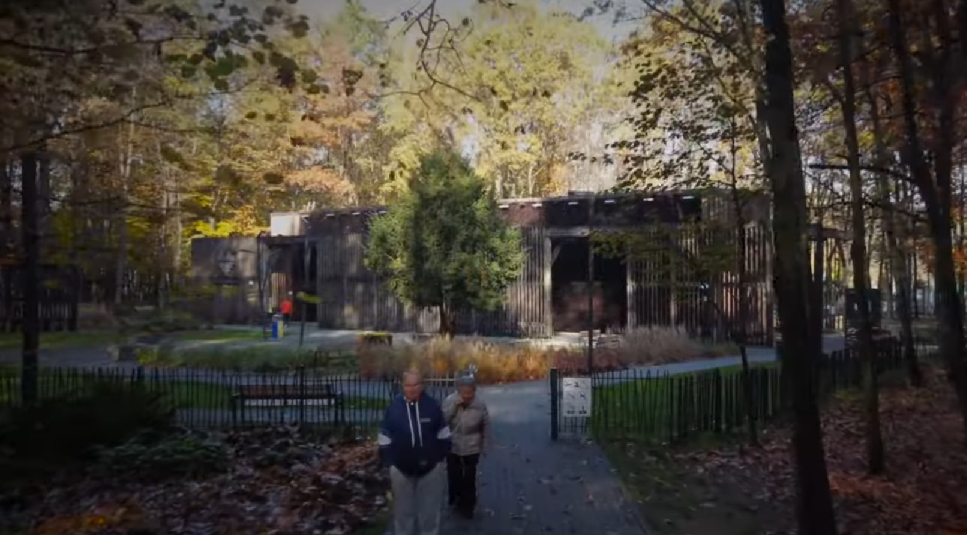 Zdjęcie do postu: Katowice: Łapcie ostatnie dni pięknej jesieni w takim otoczeniu. Nagranie