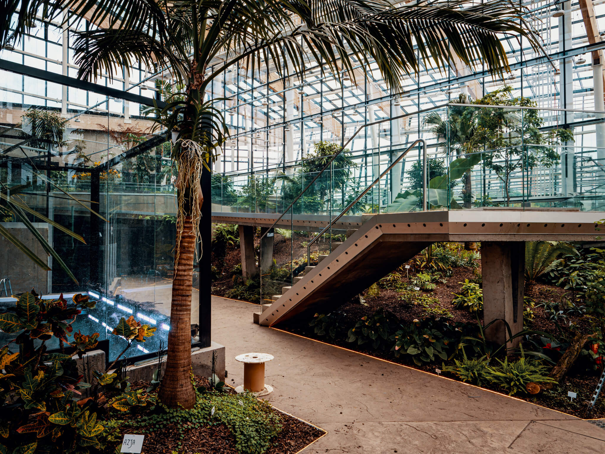 Sosnowieckie Egzotarium walczy o nagrodę. Można już głosować