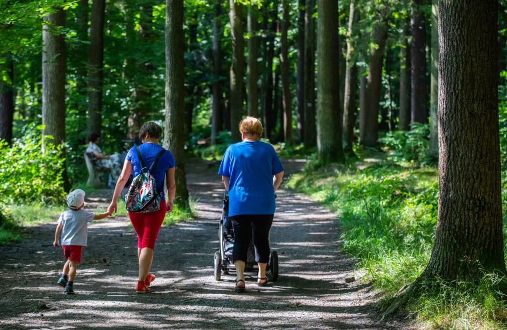 Częstochowa: Leśne alejki będą z klimatem