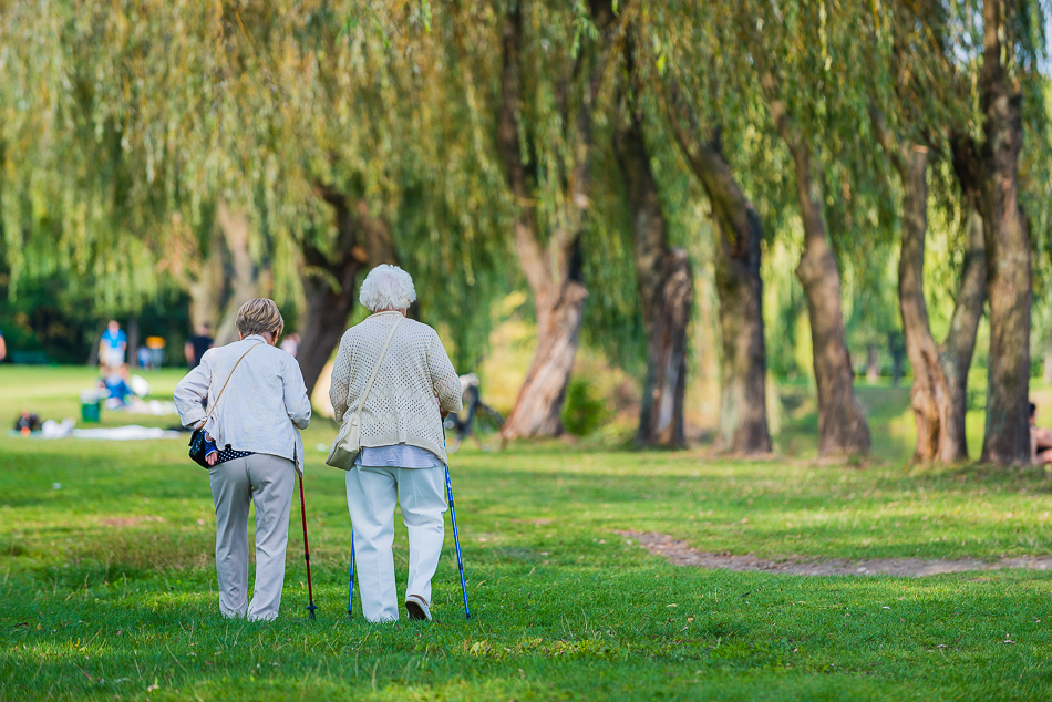 Katowice dla seniorów