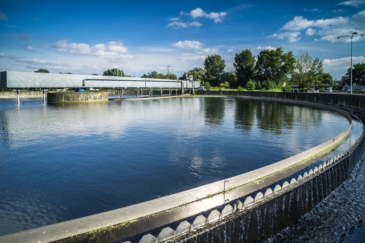 Ferie w Katowicach? Szluknij sie z kokotka