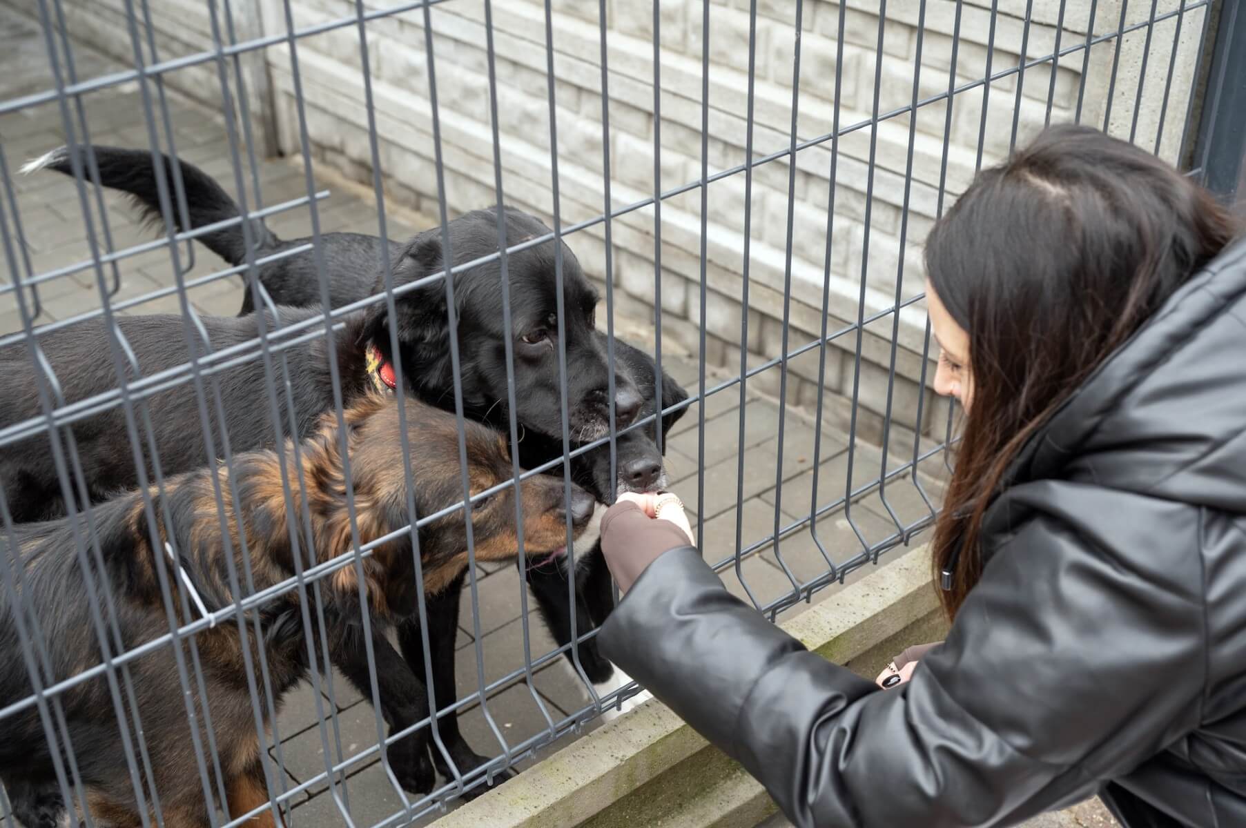 Wolontariusze po szkoleniu