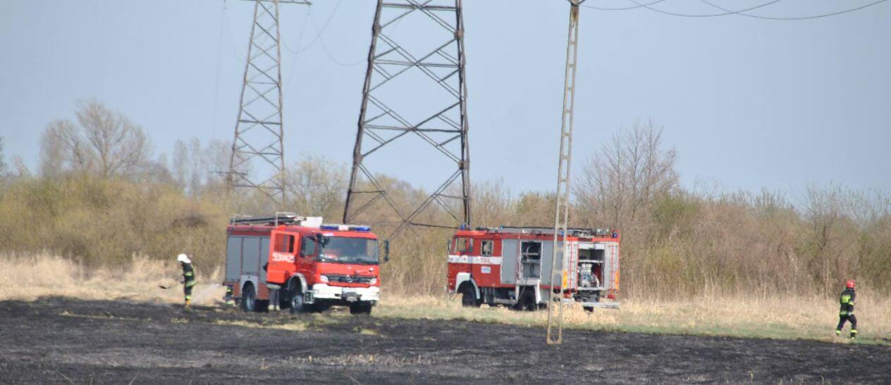 Wypalanie traw to szkody i zagrożenie