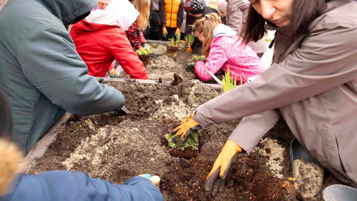 Metropolia rozpoczęła tegoroczną edycję programu zakładania ogrodów deszczowych od Będzina