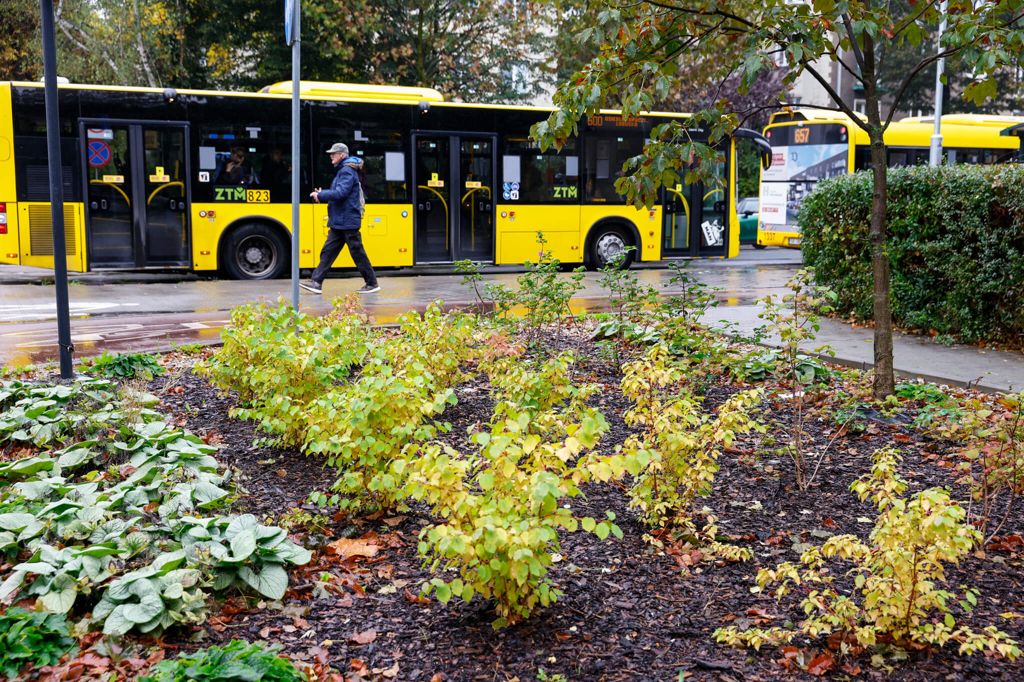 Mieszkańcy Katowic zgłosili ponad 520 pomysłów do Budżetu Obywatelskiego i Zielonego Budżetu