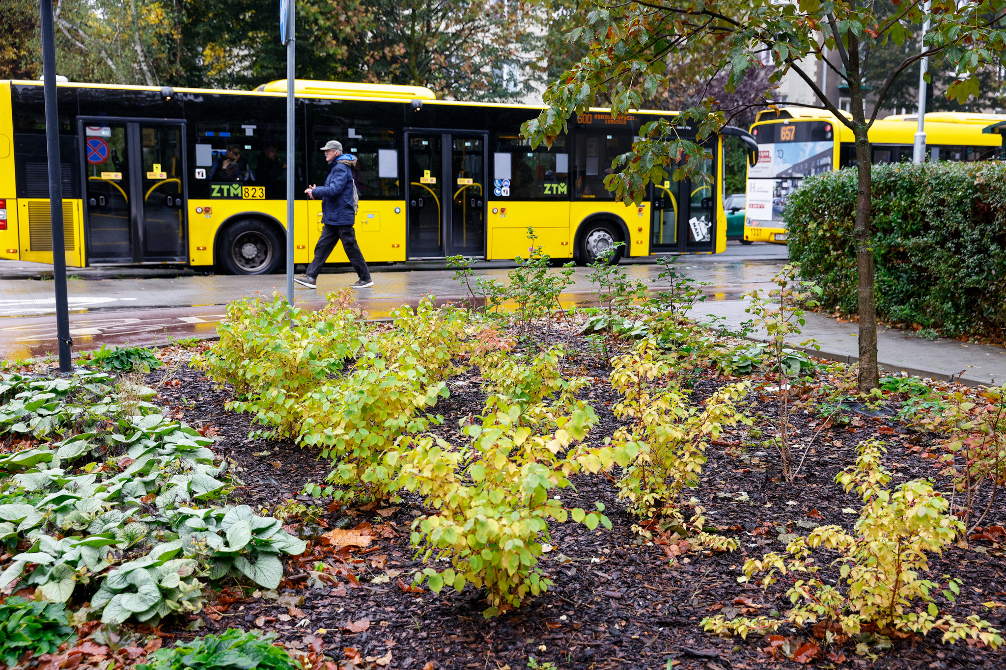 Pierwsze 3 z 10 zaplanowanych parków kieszonkowych w Katowicach coraz bliżej