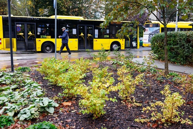 Kolejne parki kieszonkowe powstaną w Katowicach